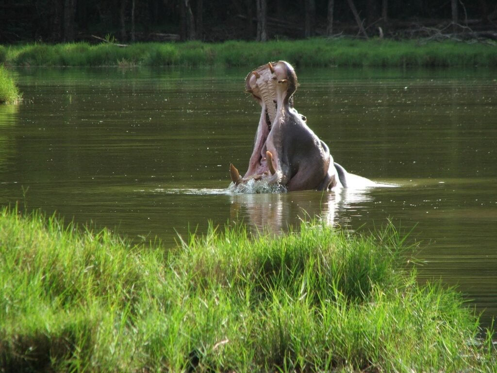canva-untitled-MAEGFRILu40