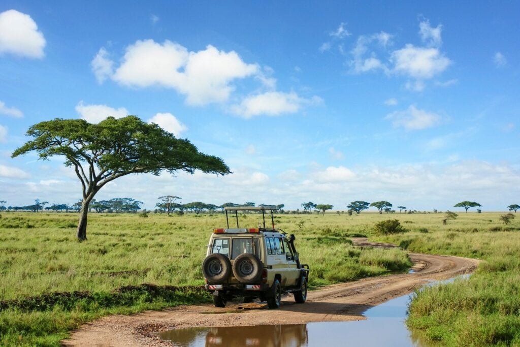 serengeti-01