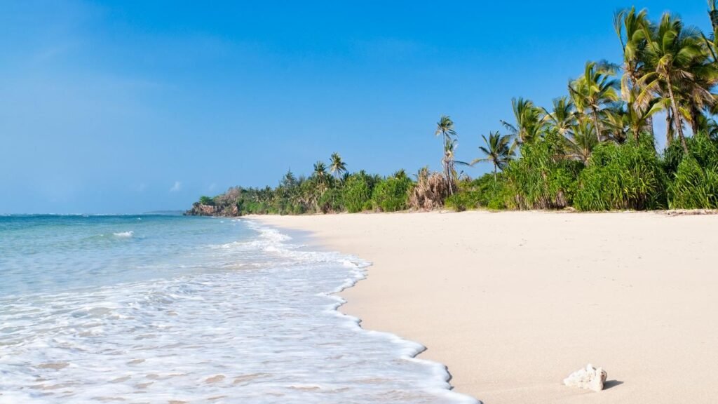 DIANI