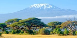 amboseli_national_park-istock-599754210
