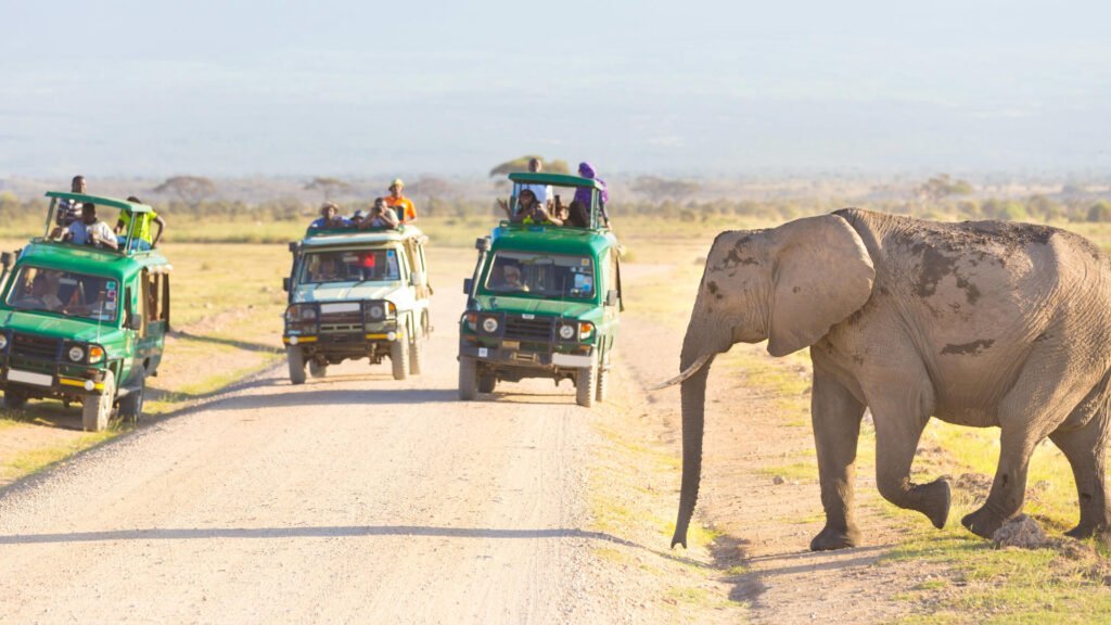 amboseli_national_park-shutterstock-448154665