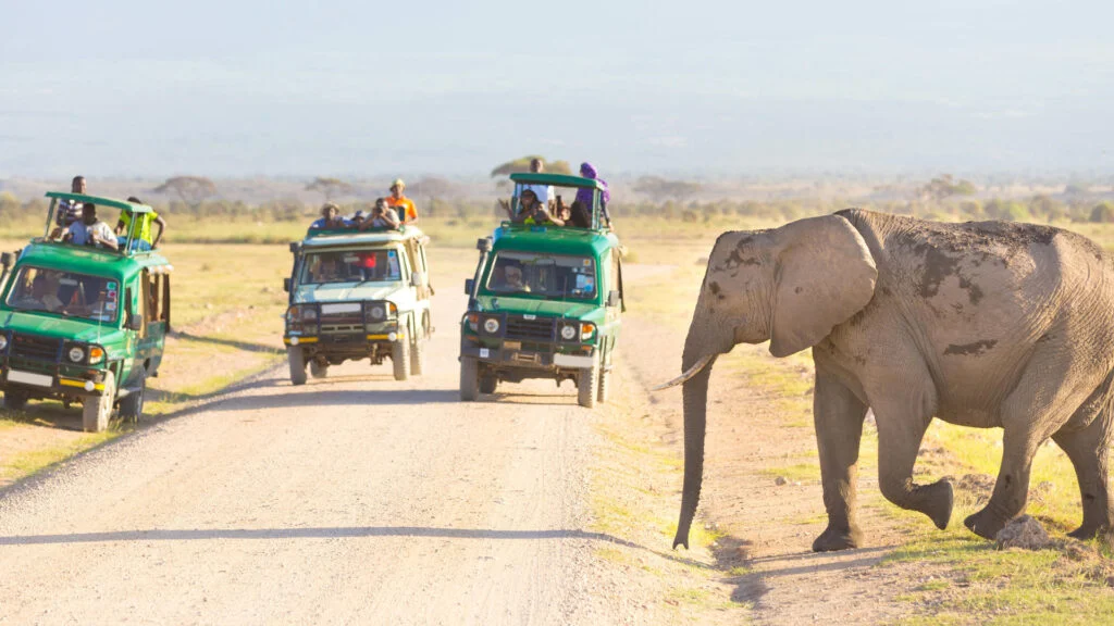 amboseli_national_park-shutterstock-448154665