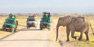 amboseli_national_park-shutterstock-448154665