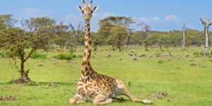 istock-912189056