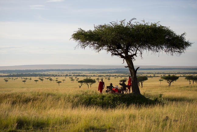 kilima-camp-masai-mara-other-bush-breakfast-kilima-67