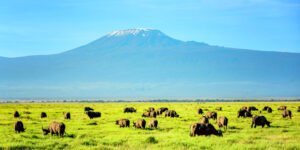 kimana_-dvrcan-_istock-622321582