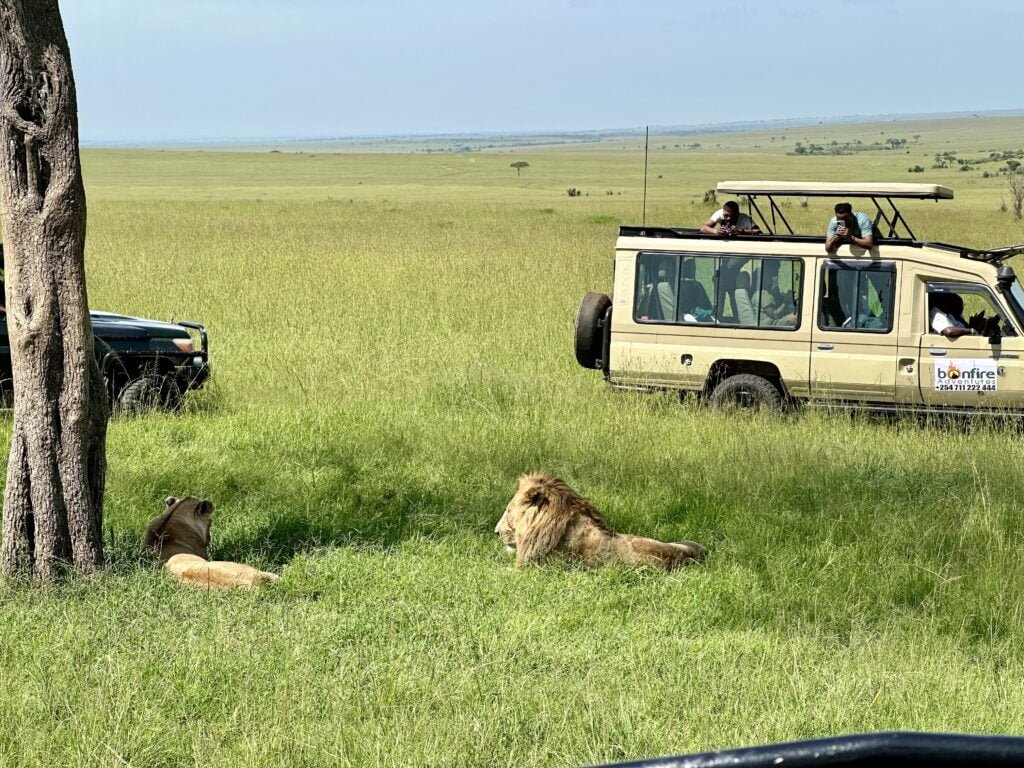 masaimara8
