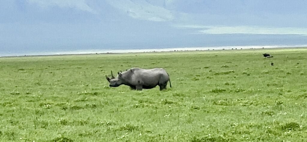 ngorongoro1