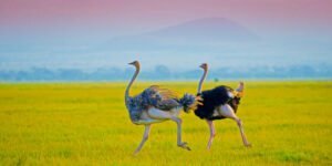 shutterstock_231140860